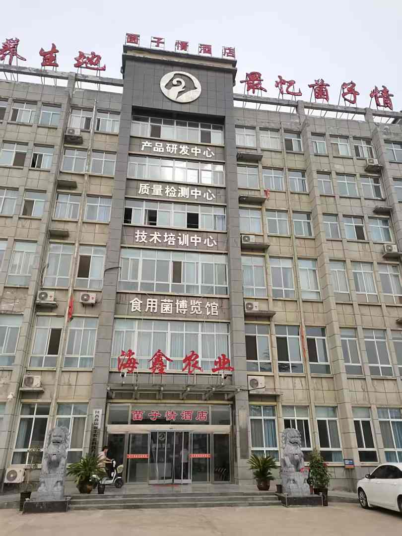 菌子情酒店