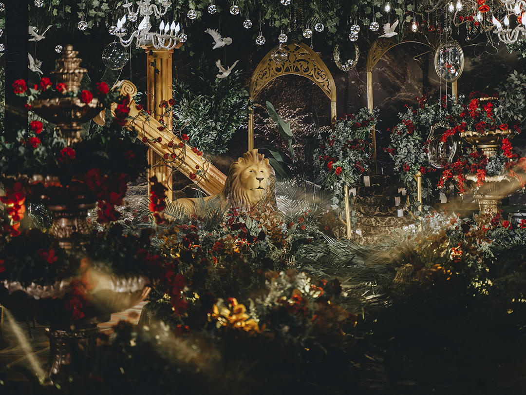 【璀璨之星|热销爆款】明星同款＋含四大金刚