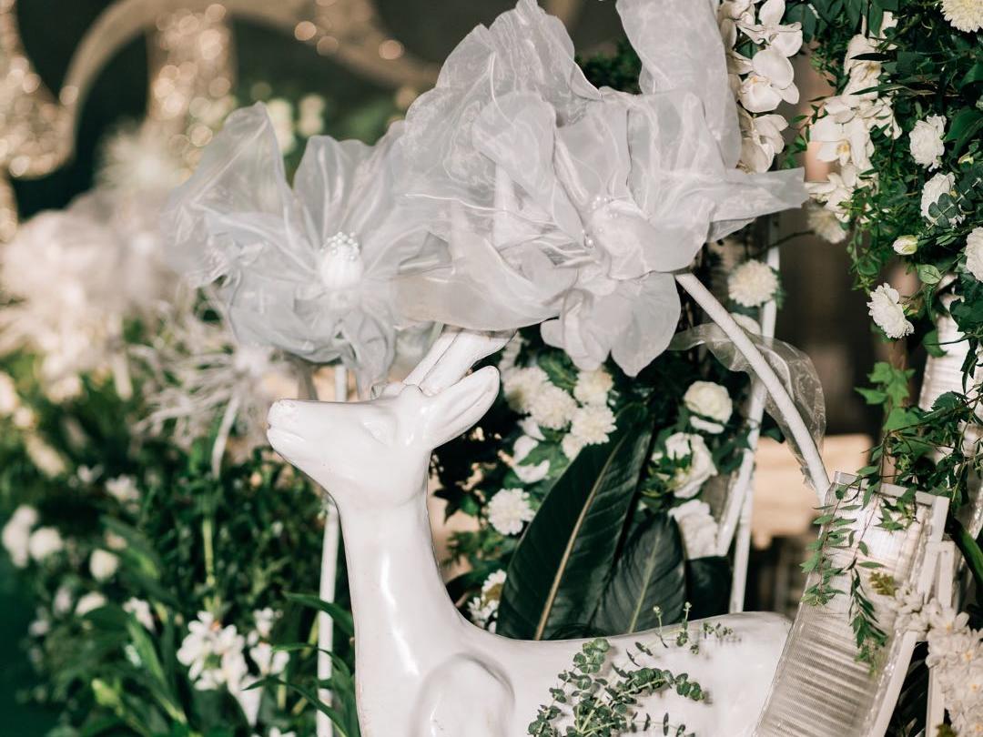    你配得上世间所有的美好