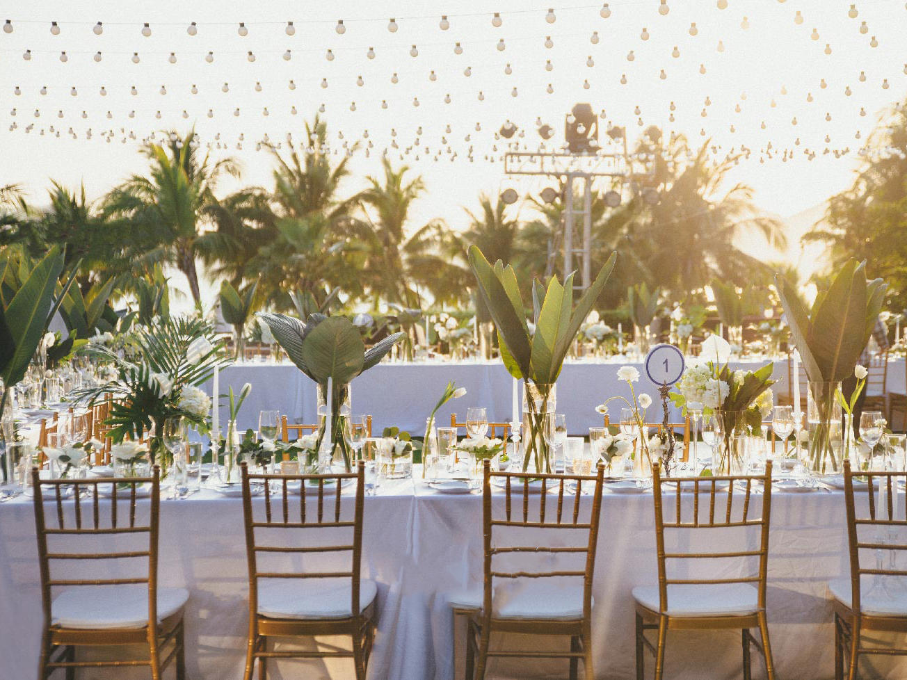 【美若丹尔| 绿色浪漫草坪婚礼】