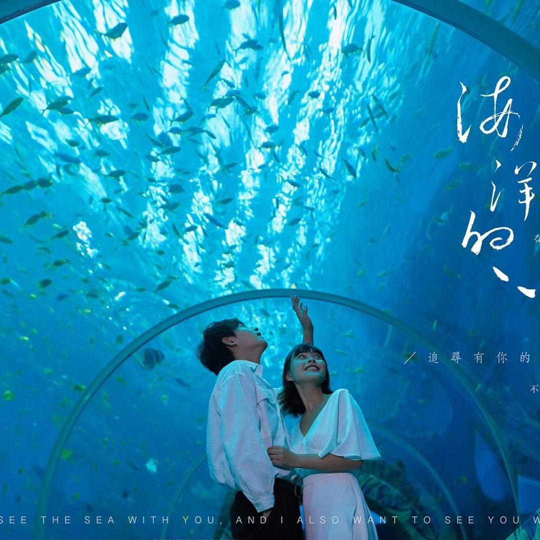 张先生&朱女士11月27日客照欣赏