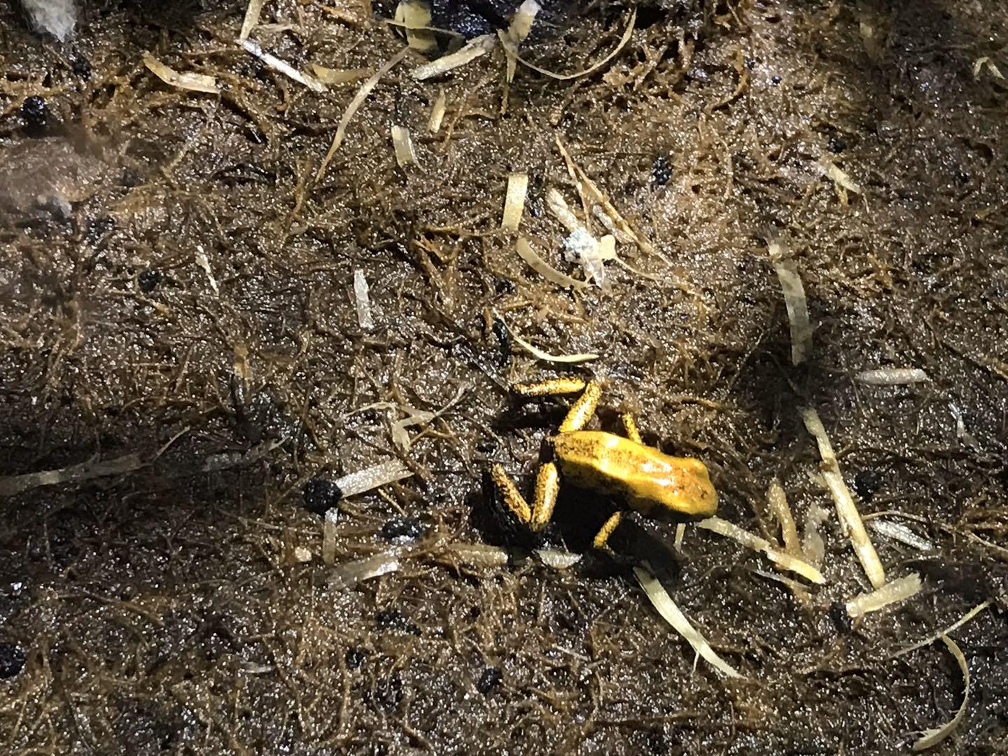 南昌书羽测试:超值婚纱套餐网红同款+风格任选