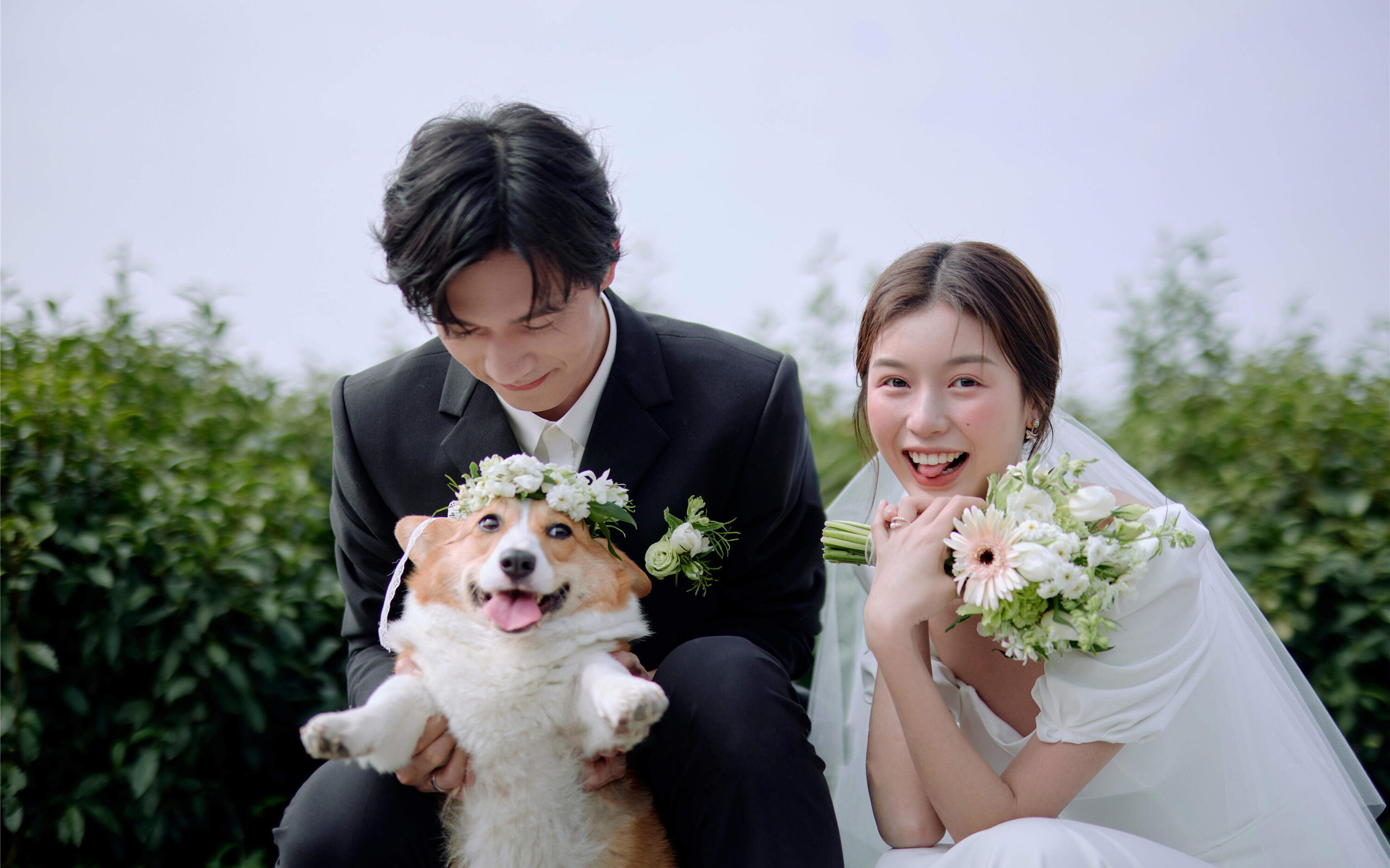 愿望终于实现!!带小狗来拍森系婚纱照啦