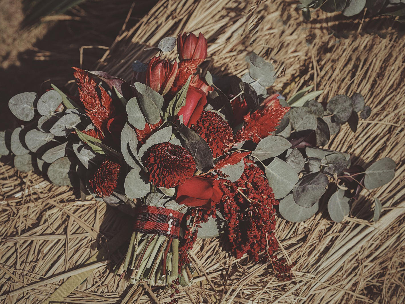 上海电视台黄红色北欧风婚礼