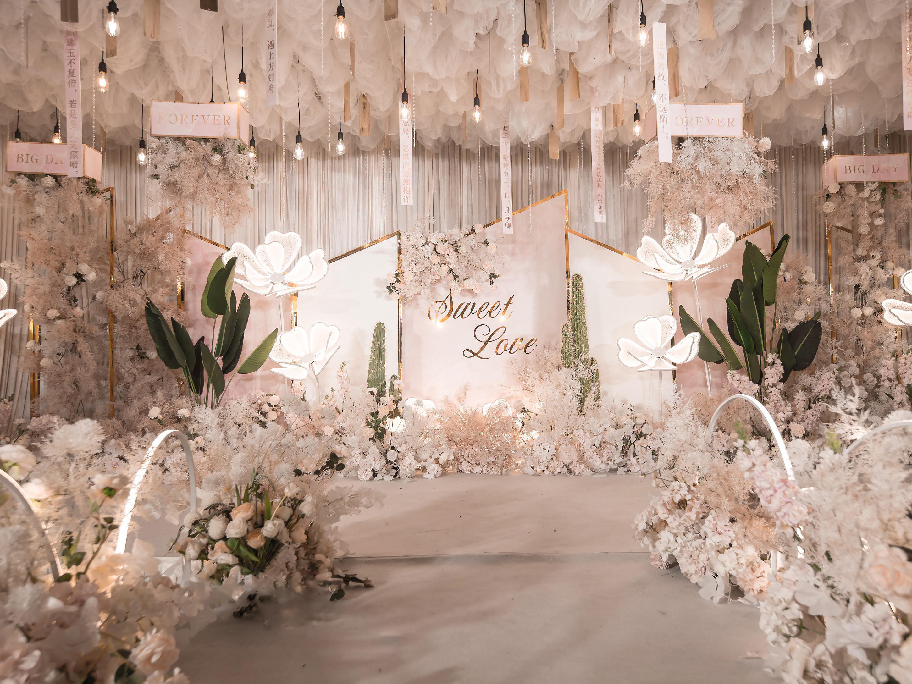 一站式线上优选护航/赠四大金刚/主持人线上选