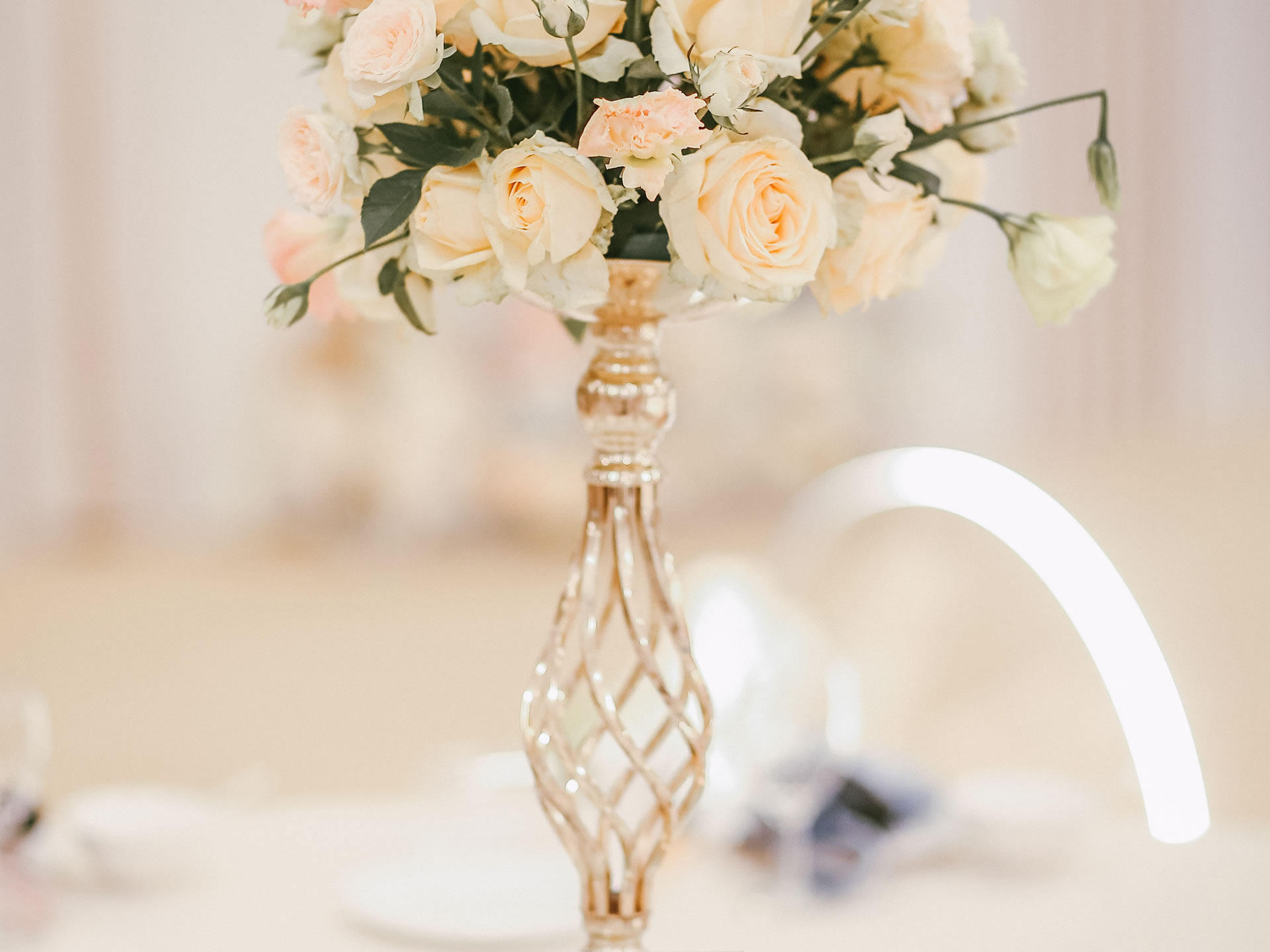 【月亮姐姐婚礼私享】遇见你 赠送婚礼四大金刚