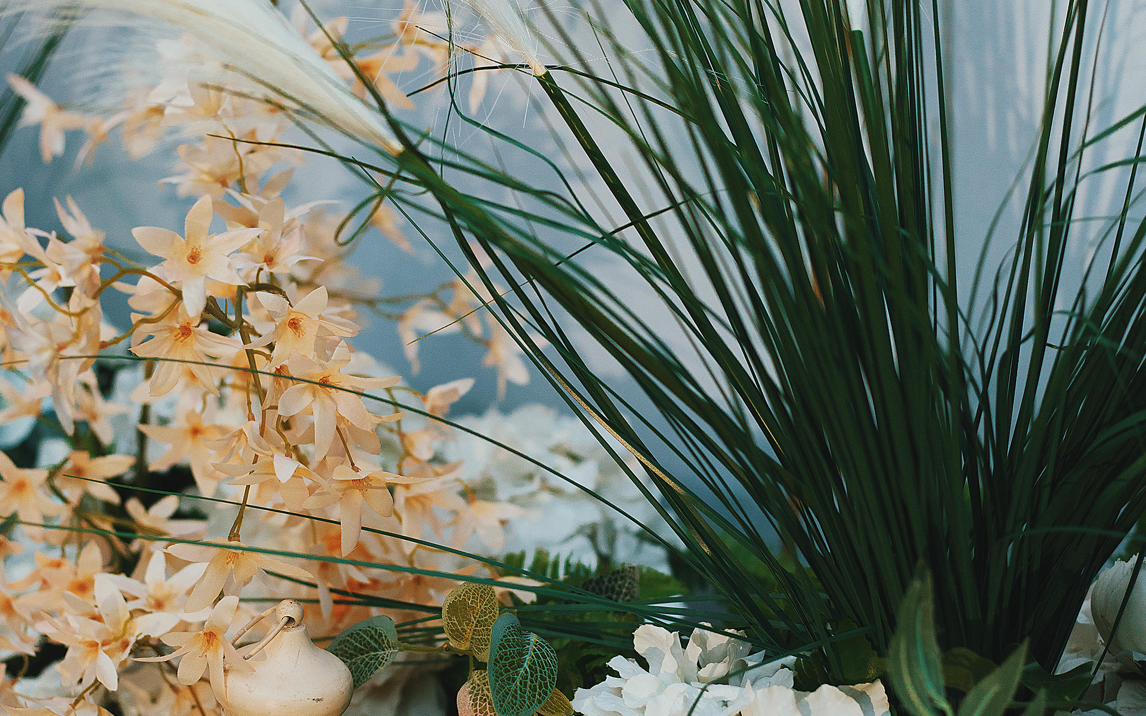 这样一个小场地的仪式 许我与你，组成了我们 