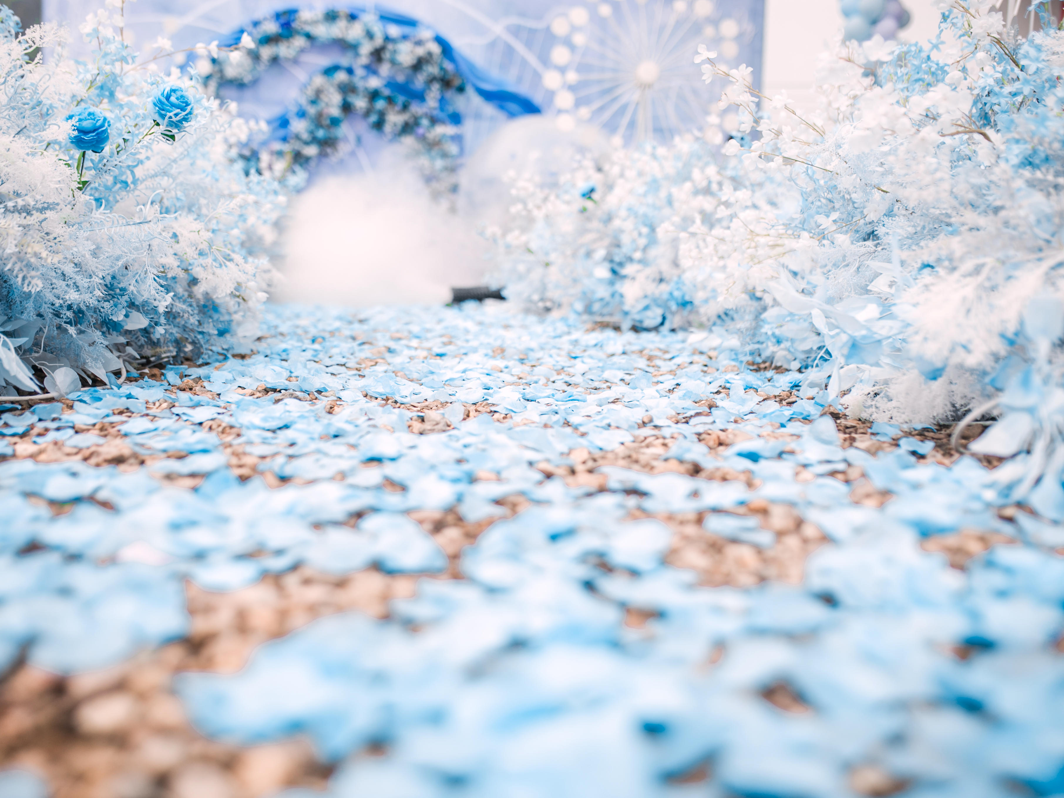 罐头婚礼|户外小清新蓝色系终极干净系列室内也可