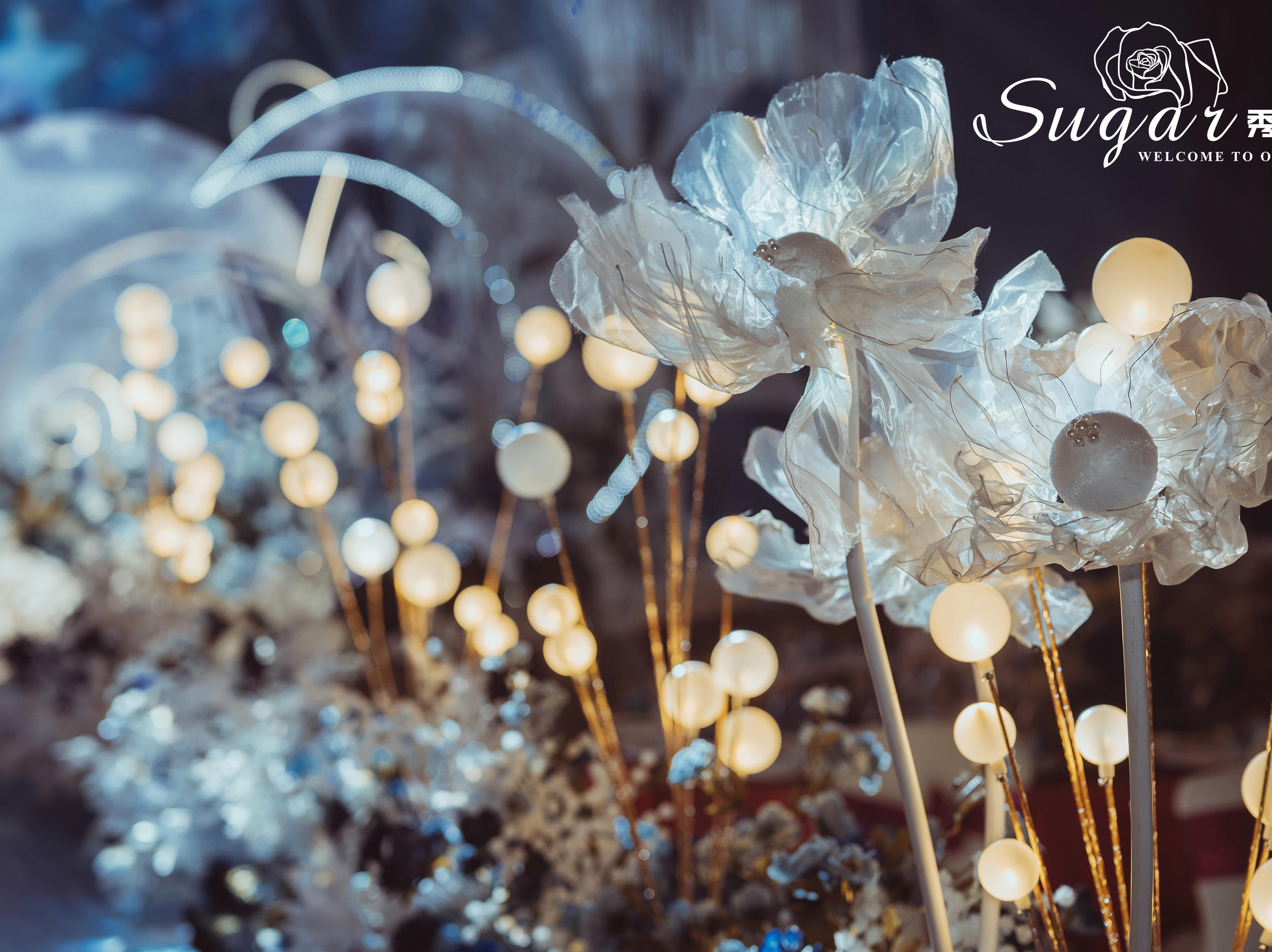 万丈星河无垠宇宙，星空主题婚礼