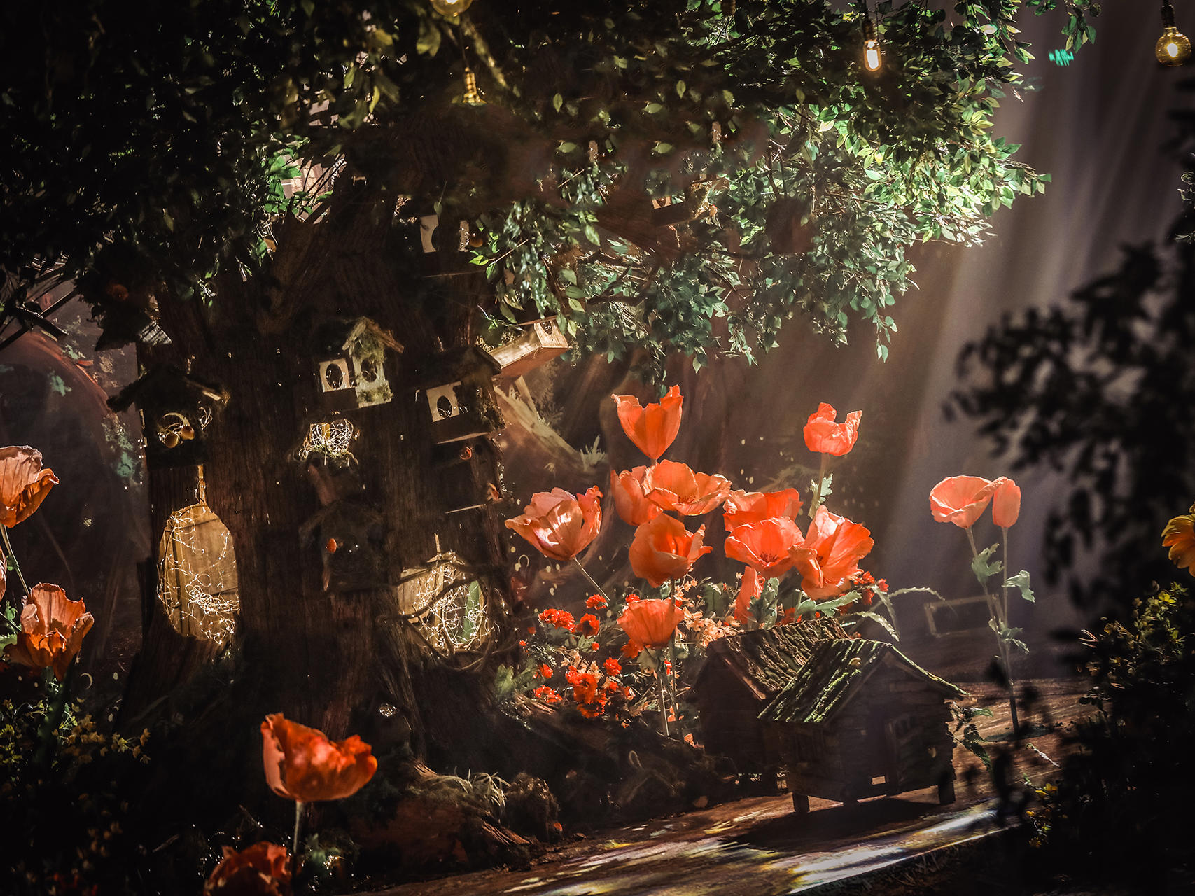 【一口价】森系风格-风格多样-含四大优惠套→私信