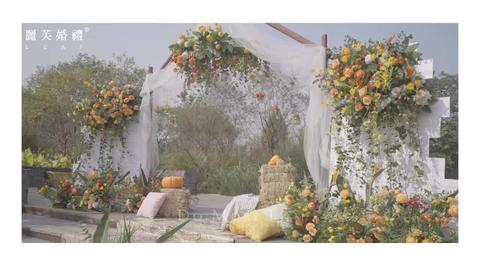 【丽芙】热销温暖橘黄色户外草坪婚礼秋实与你