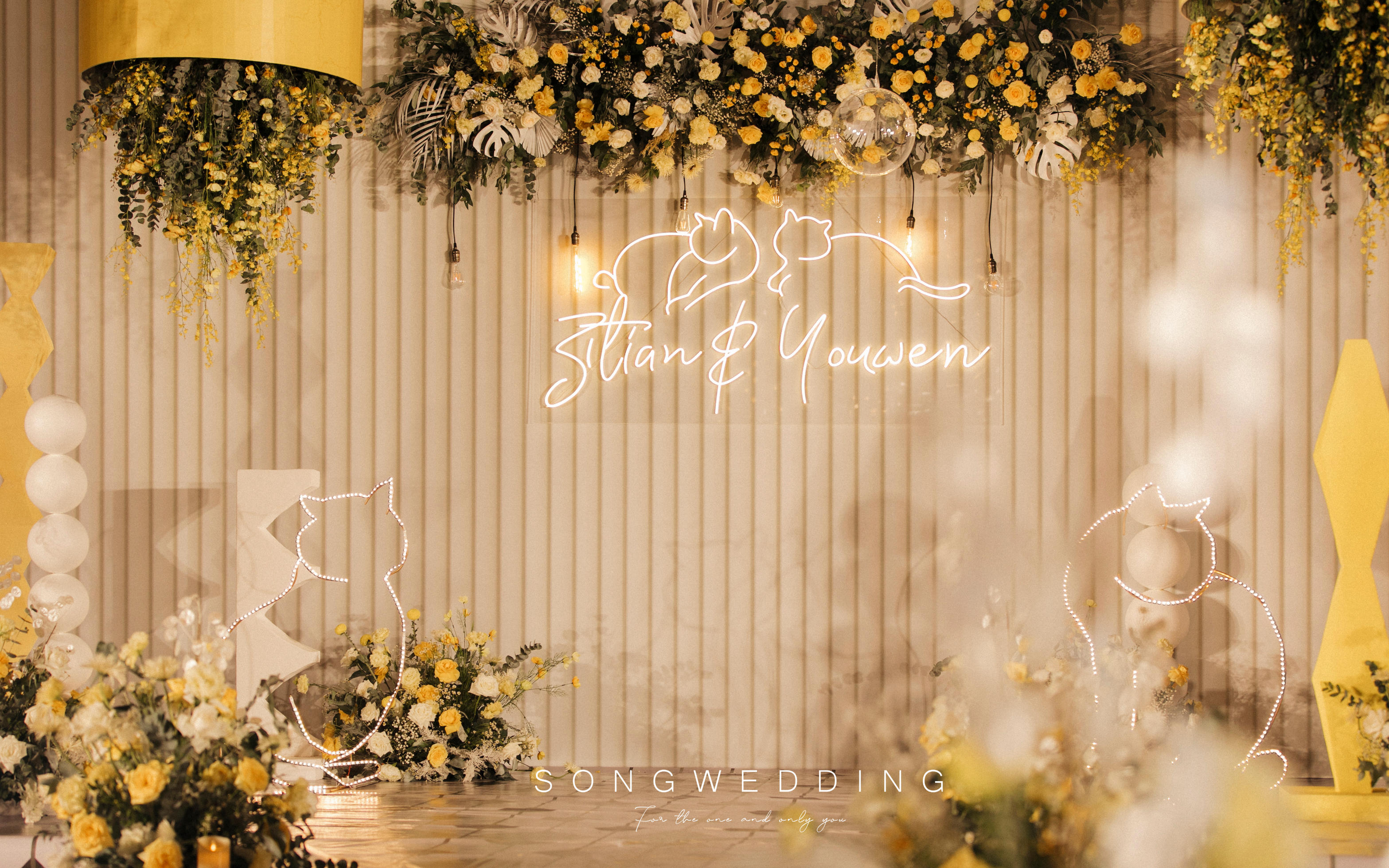 SongWedding | 猫咪主题婚礼