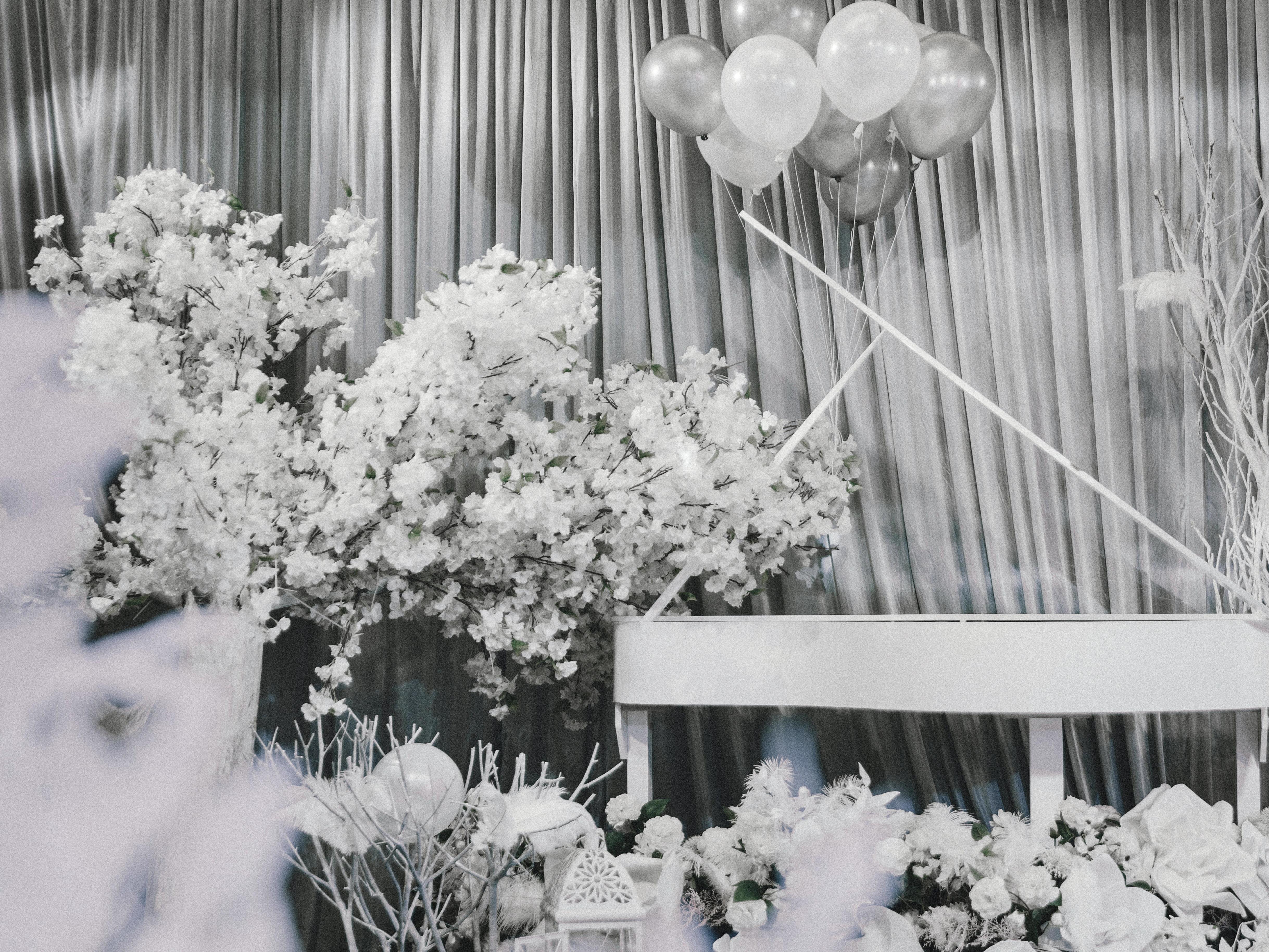 灰调浪漫《赠送四大金刚》