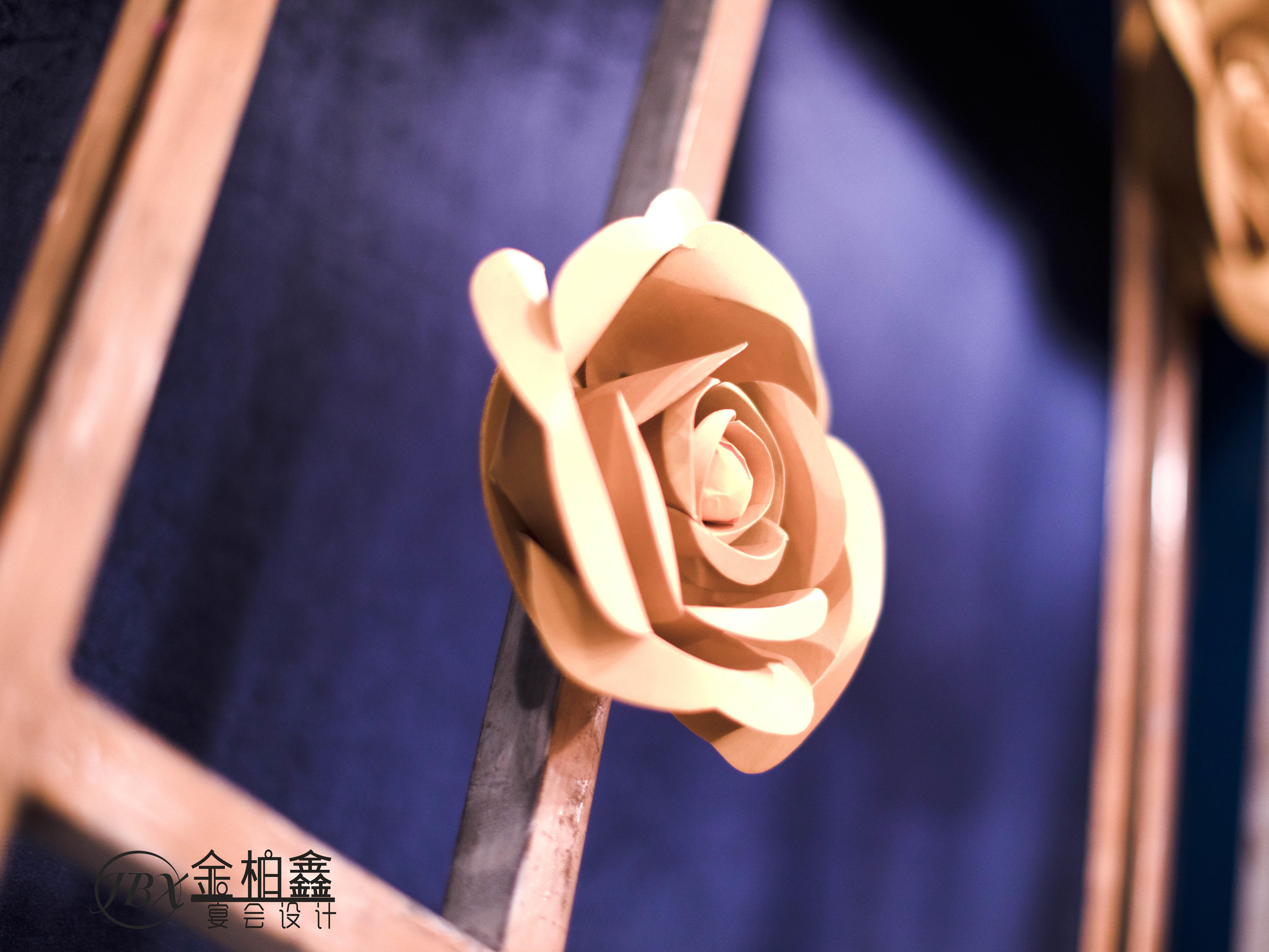 2019.4.15 哥特式 教堂婚礼 