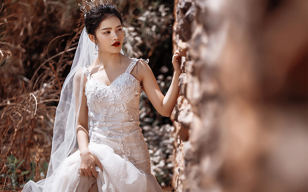 大理 出镜新人：苏先生 陈女士 