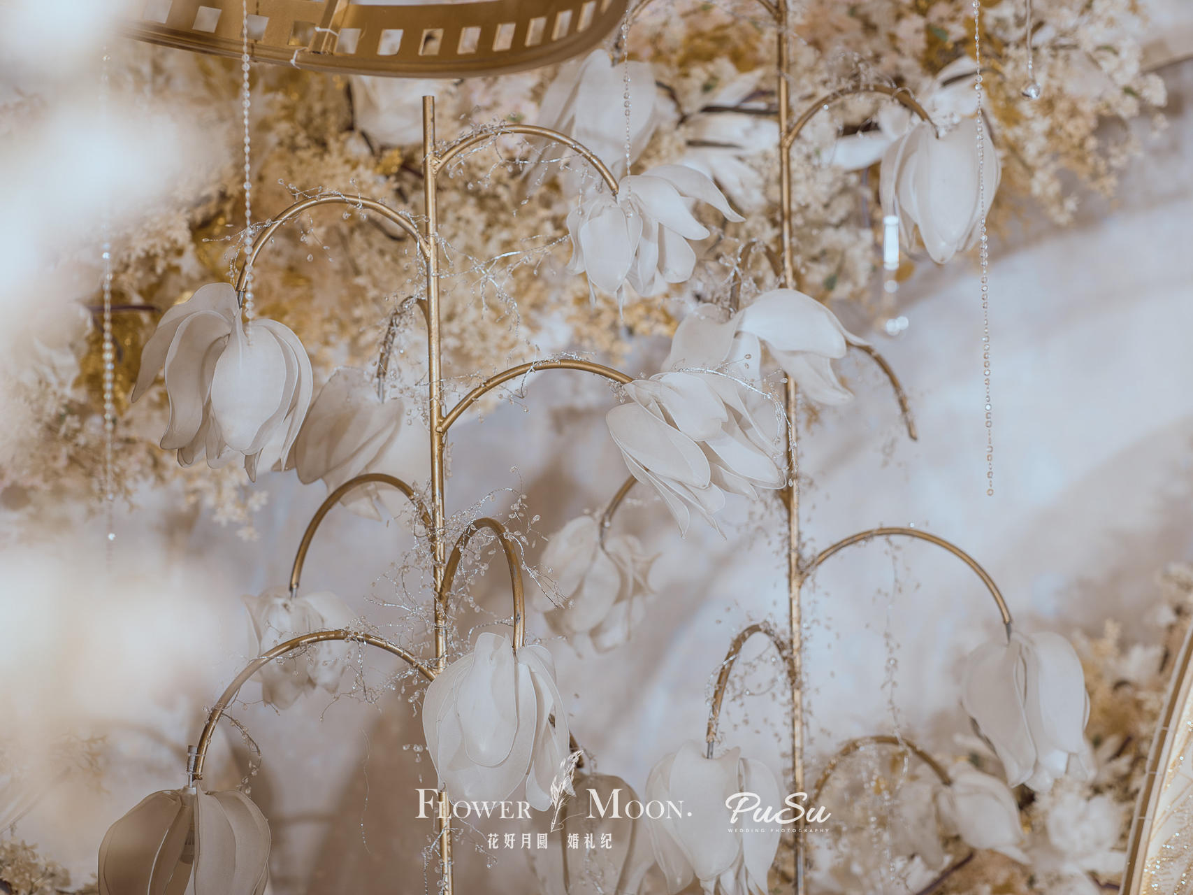 【花好月圆】午后的温暖 