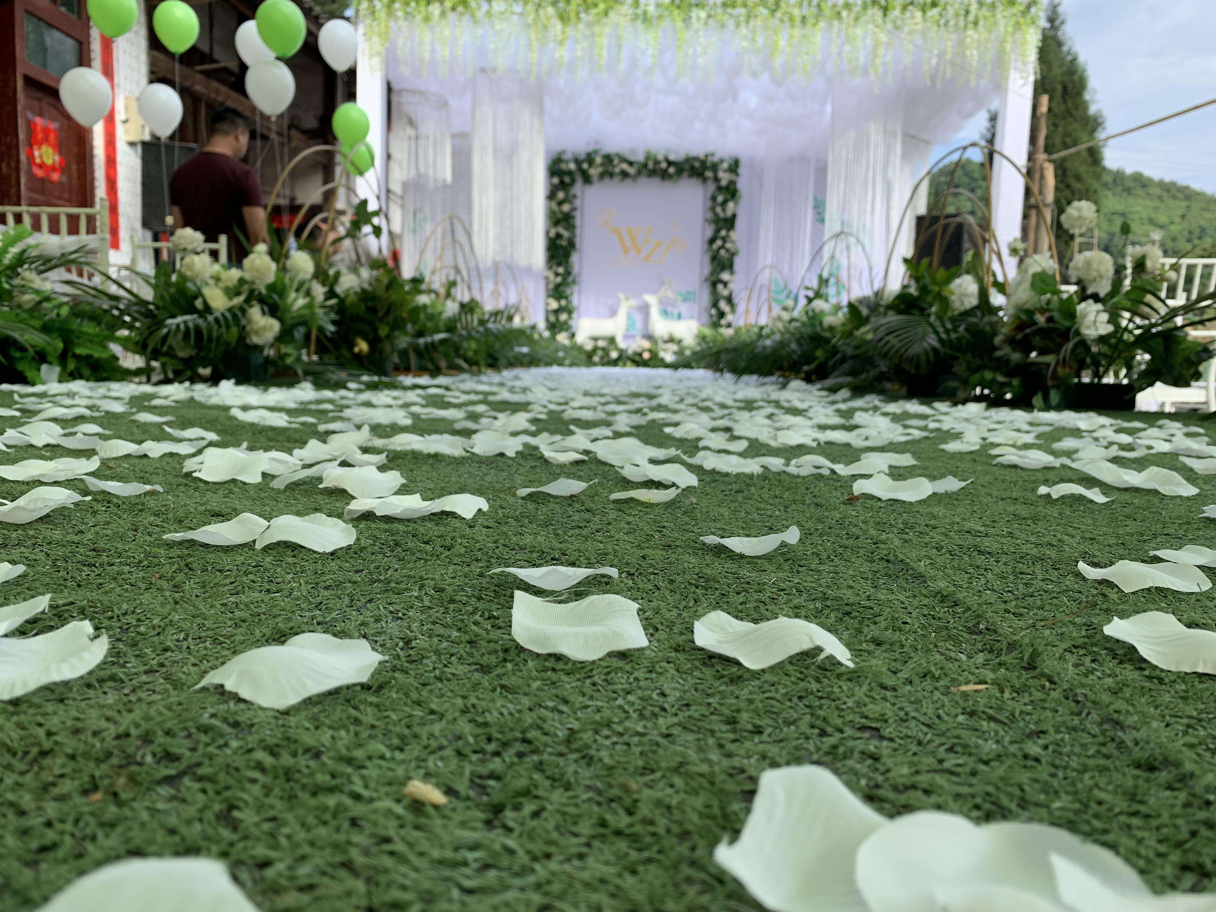 绿白之恋 吊顶云顶纱 室内外均可均为实景案例