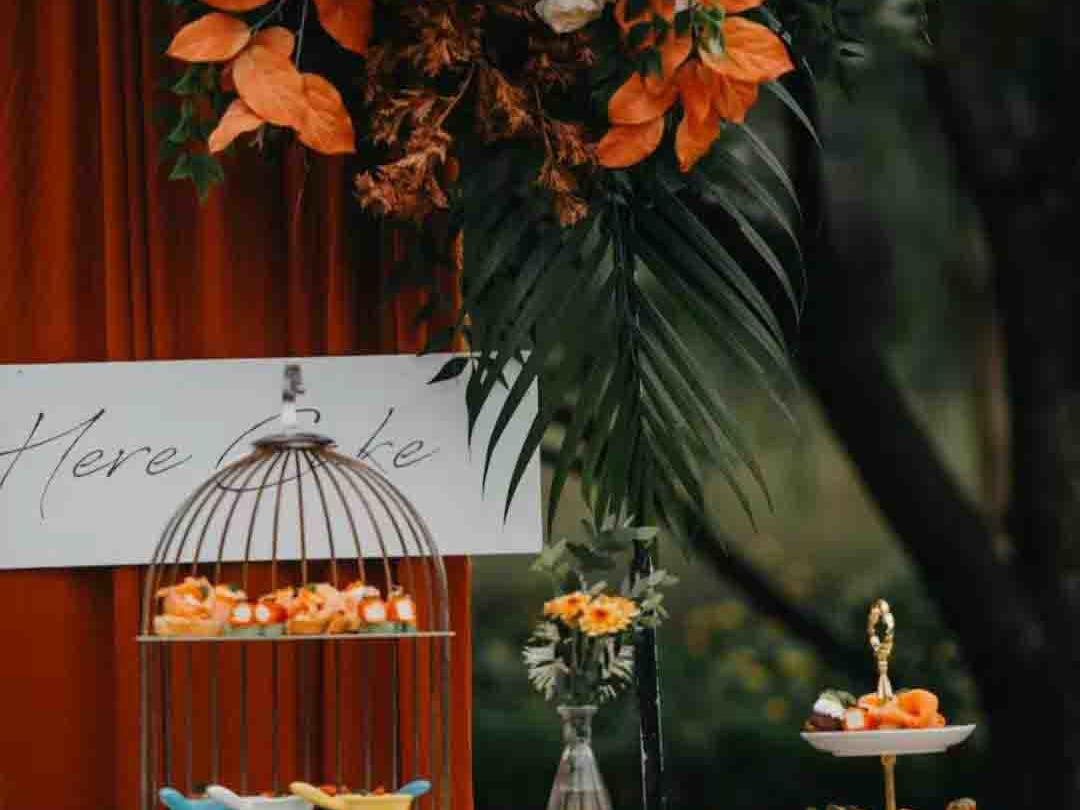 【菲林户外婚礼】复古小众森系户外婚礼