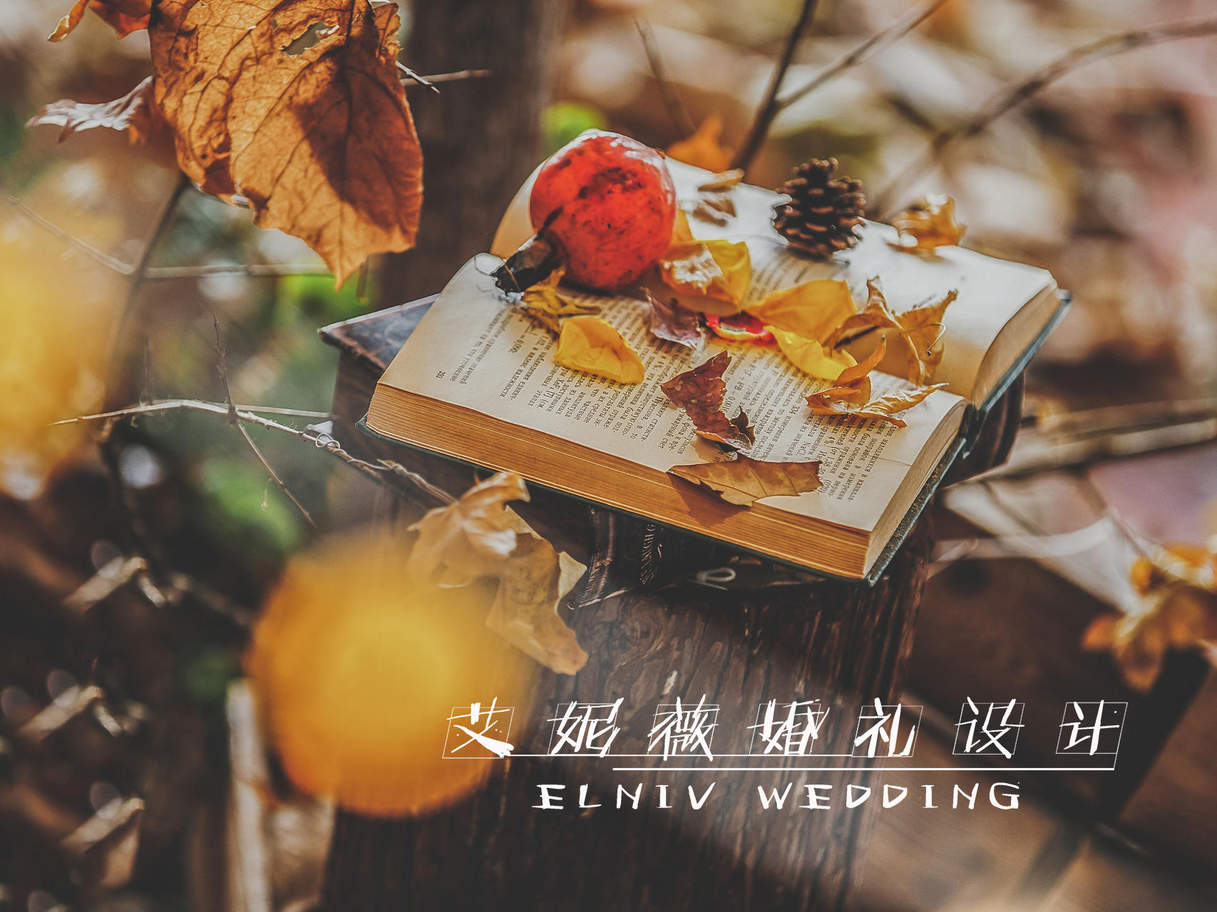 《知秋》——我听过秋水泠泠却不及你呢喃