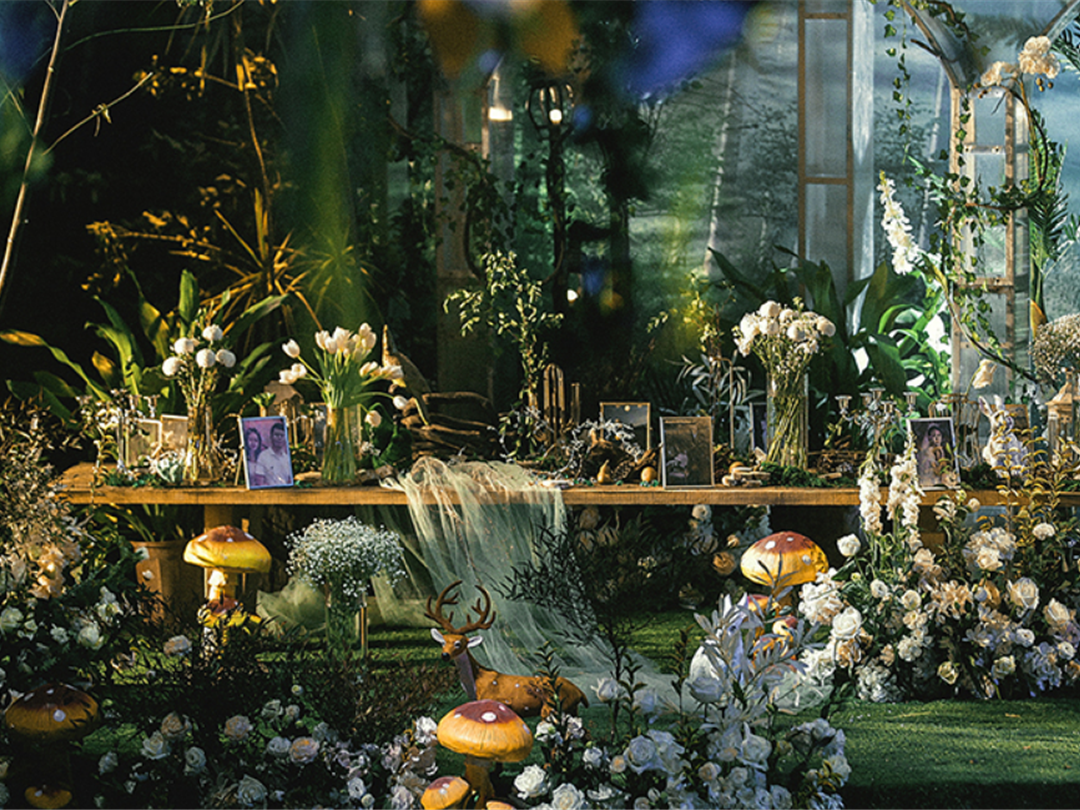 【人气推荐】明星套系/梦幻森系/林深时方见鹿