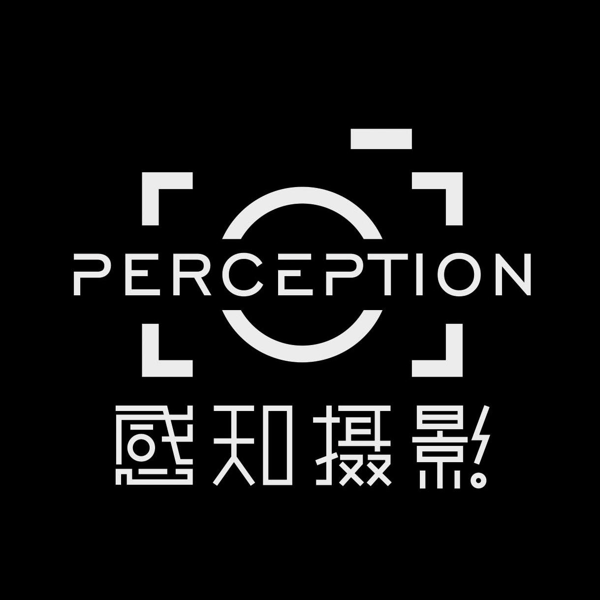 感知摄影 PERCEPTION