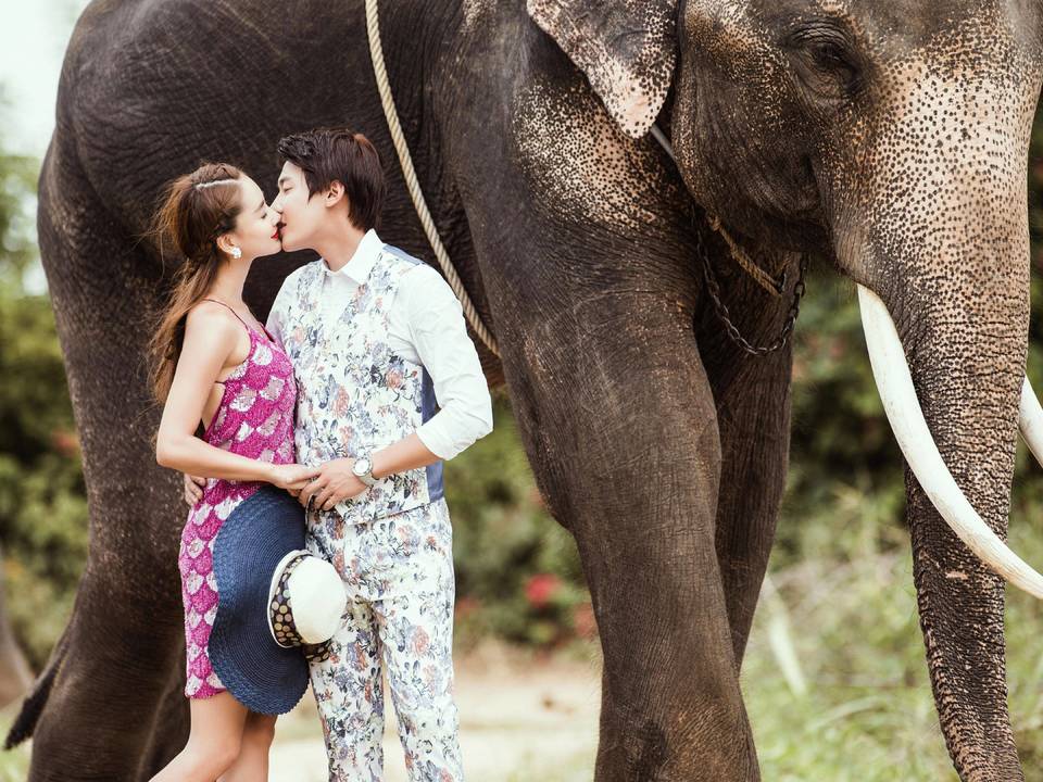 泰国 芭提雅旅拍  海景 街景 花园酒店 小象