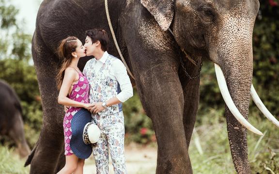 泰国 芭提雅旅拍  海景 街景 花园酒店 小象