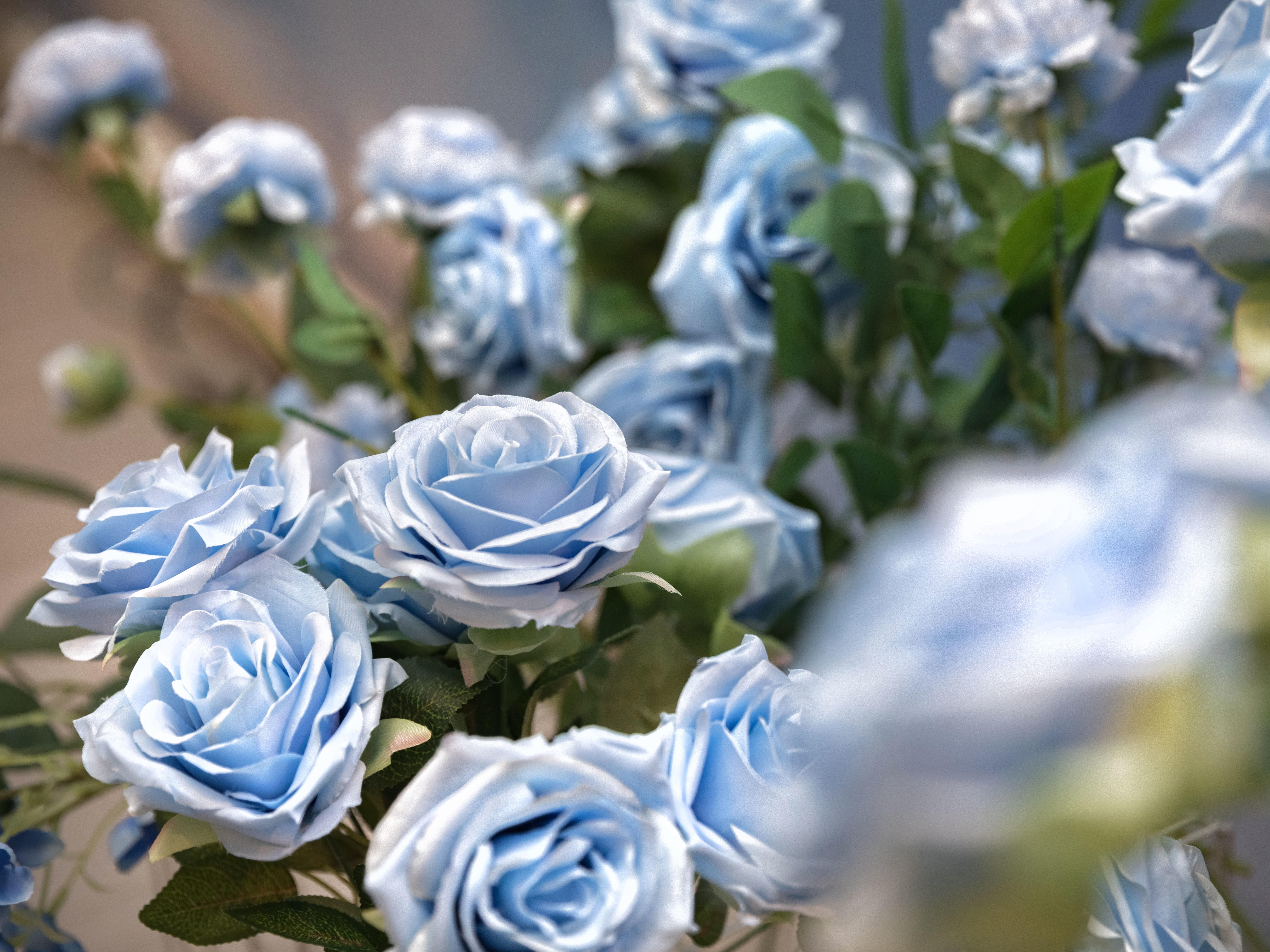 婚融界婚礼 特价推广 暗场效果 服务团队