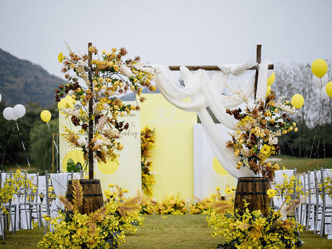 【恒美】一抹清新亮丽的黄色户外婚礼