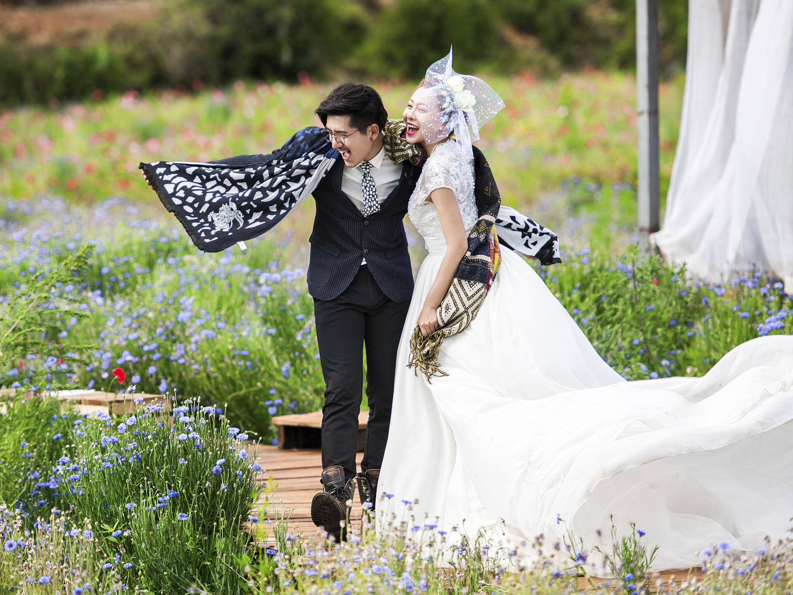 婚纱照包括_婚纱照图片唯美