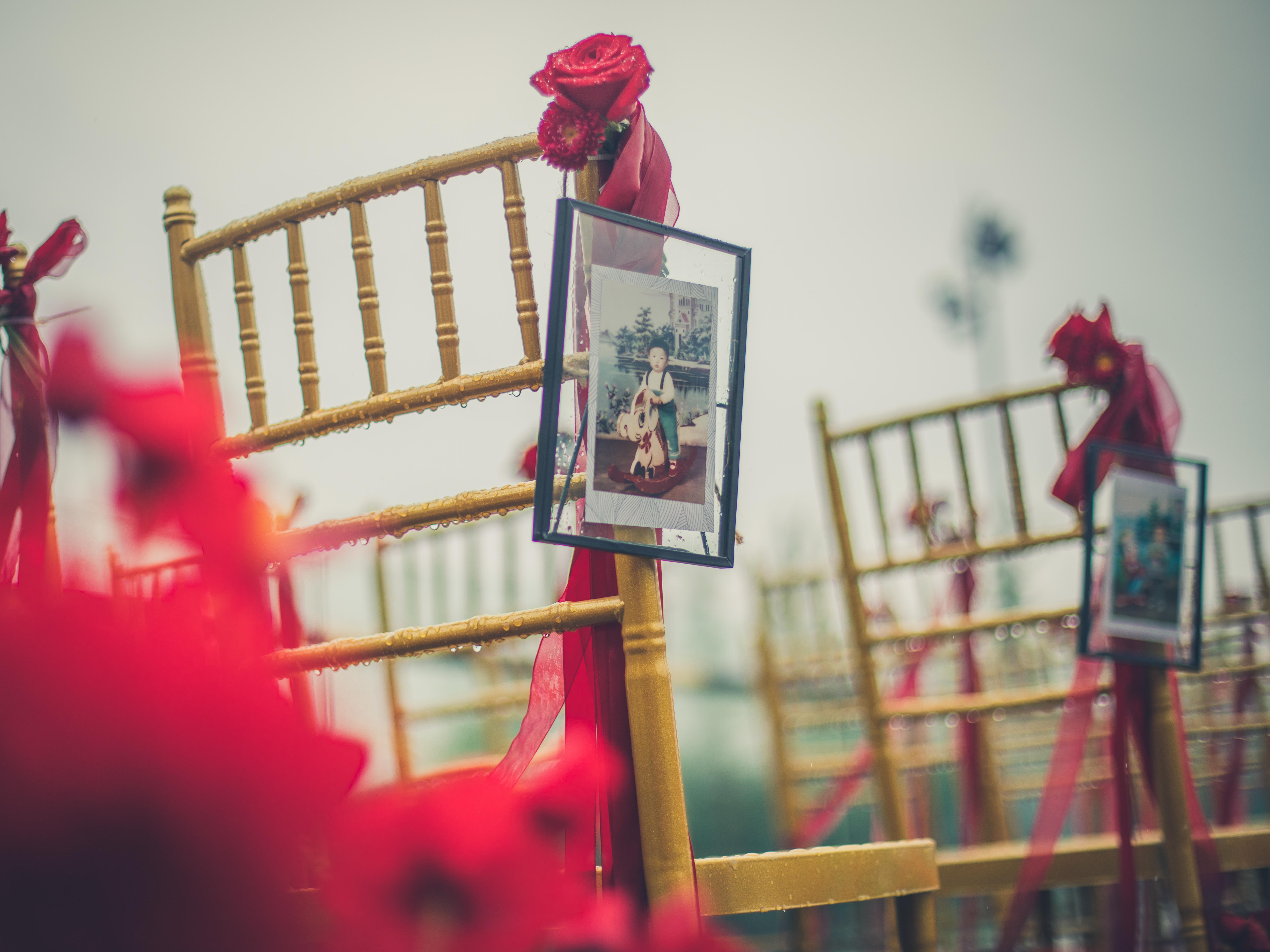 【白头吟】朦胧细雨中，“爱”悄然而生！