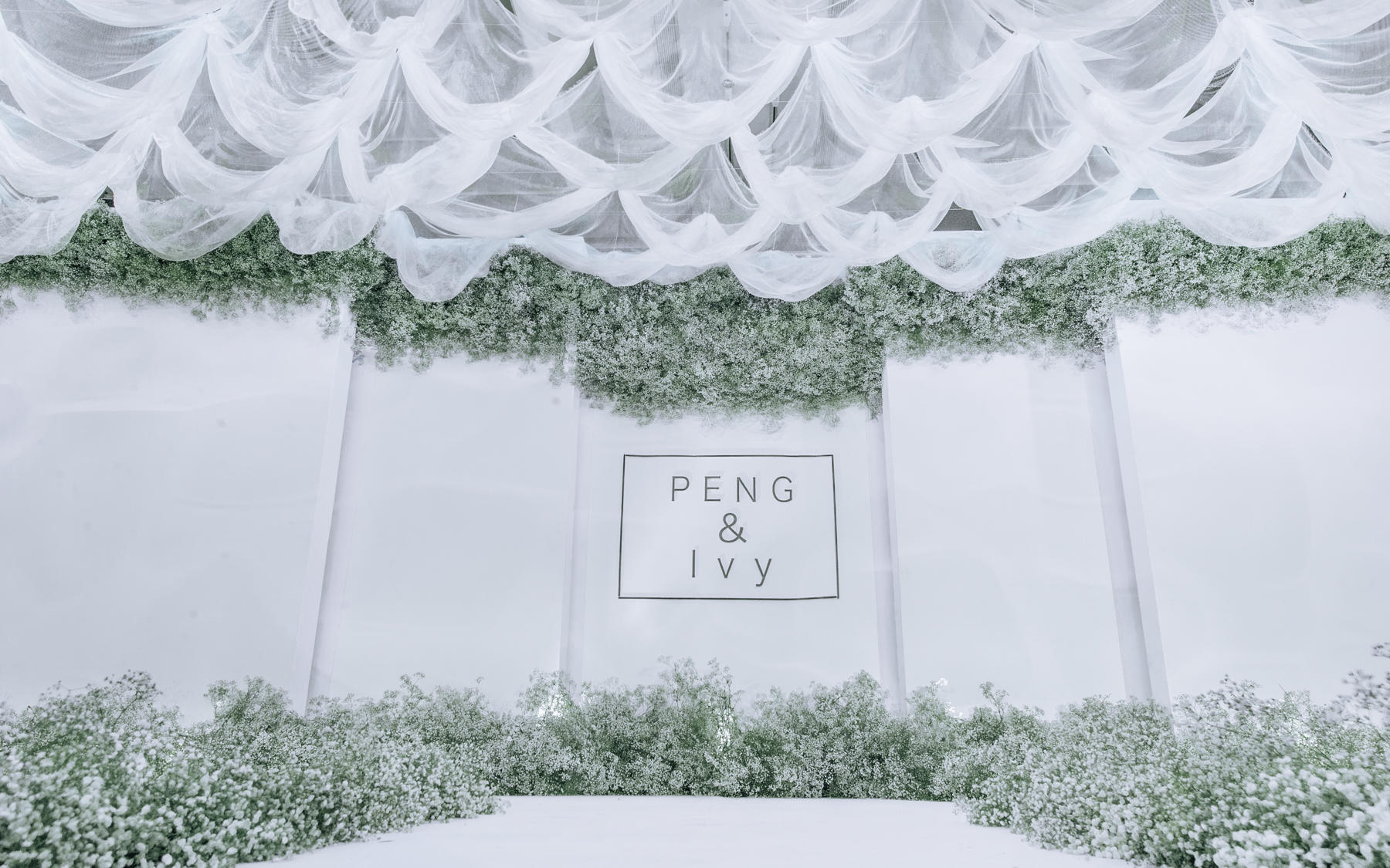 babysbreath 