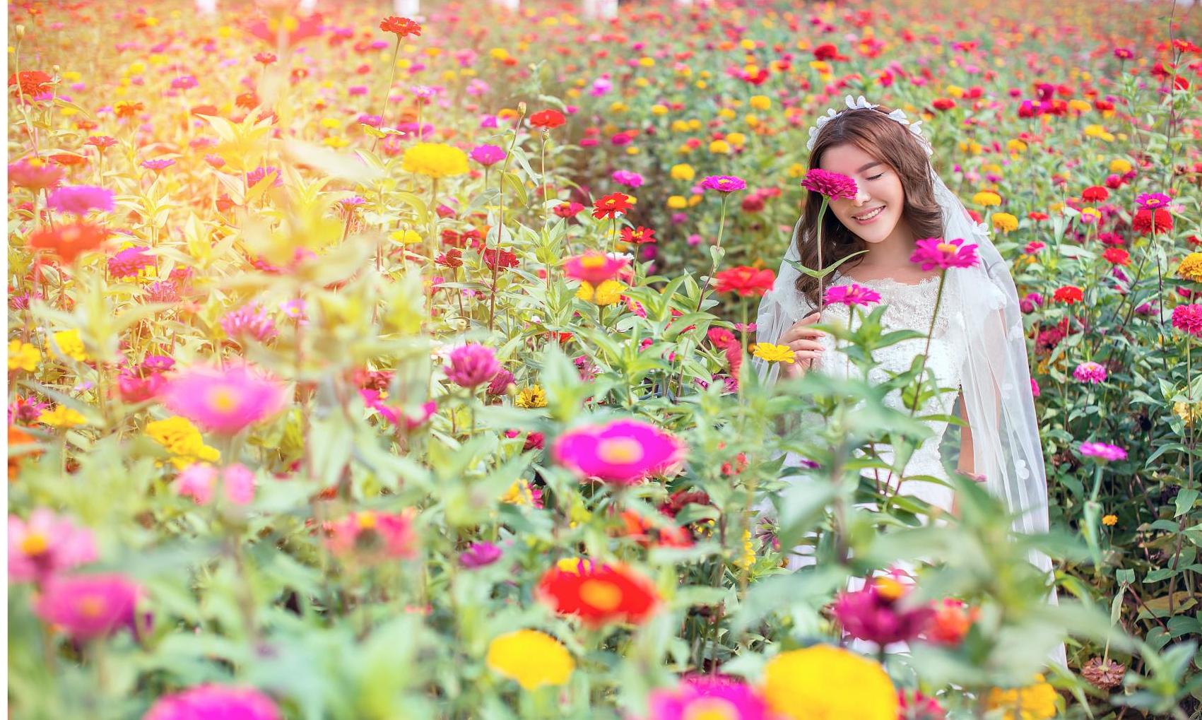 飛色攝影【金雞報春】5服5造服裝通選全額返現(xiàn)