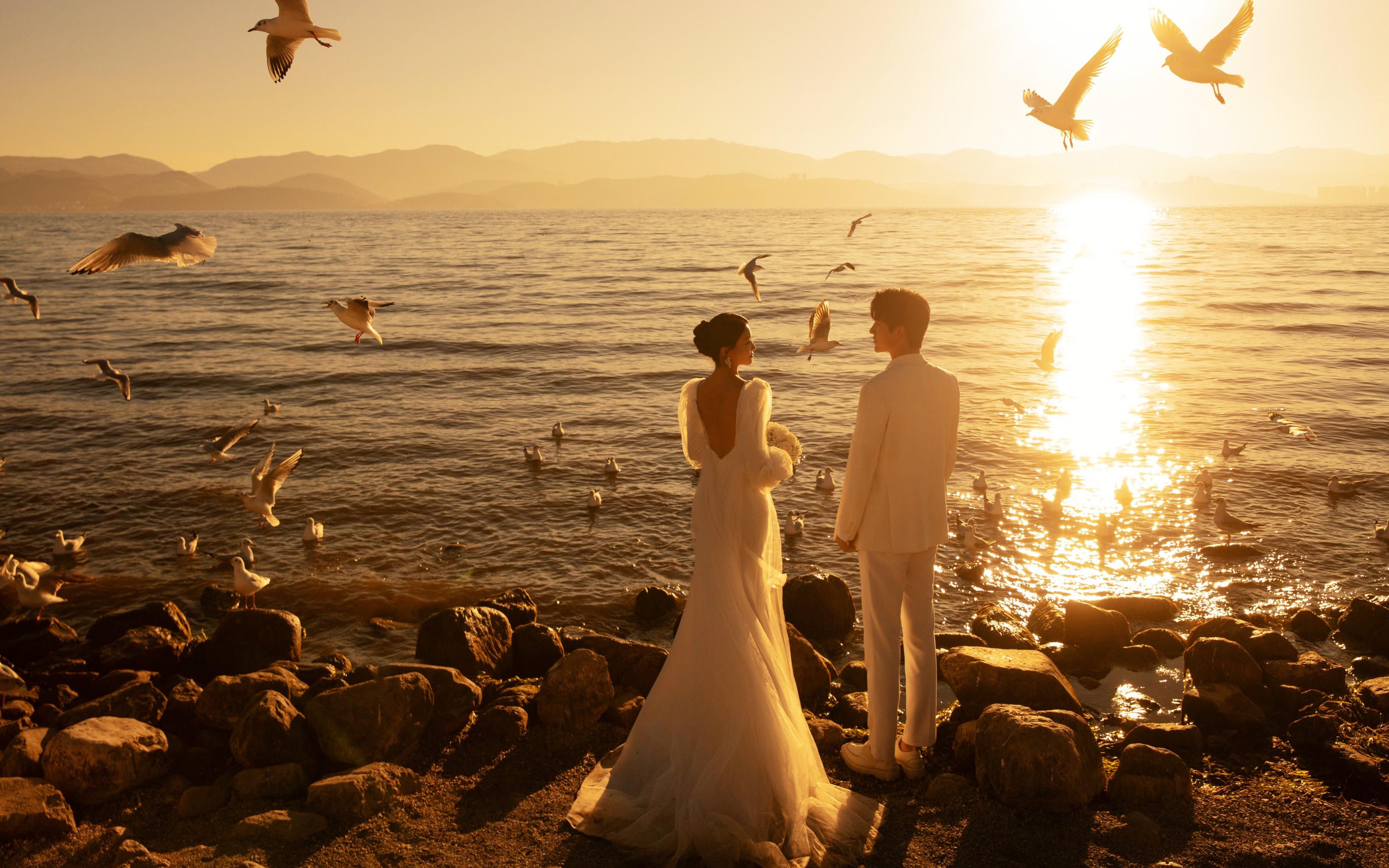 日出婚纱照+海鸥🕊浪漫氛围拉满