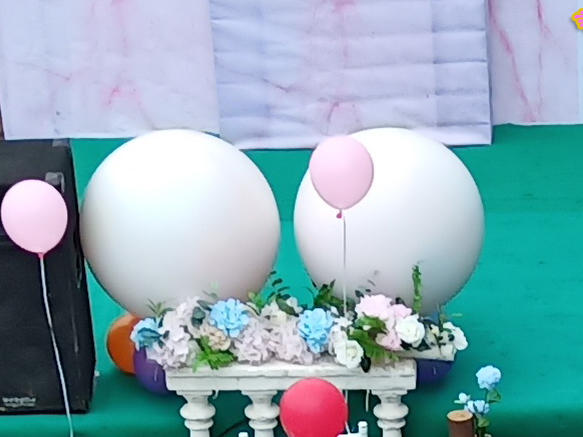 绿色草毯，清晰、户外，带点阳光