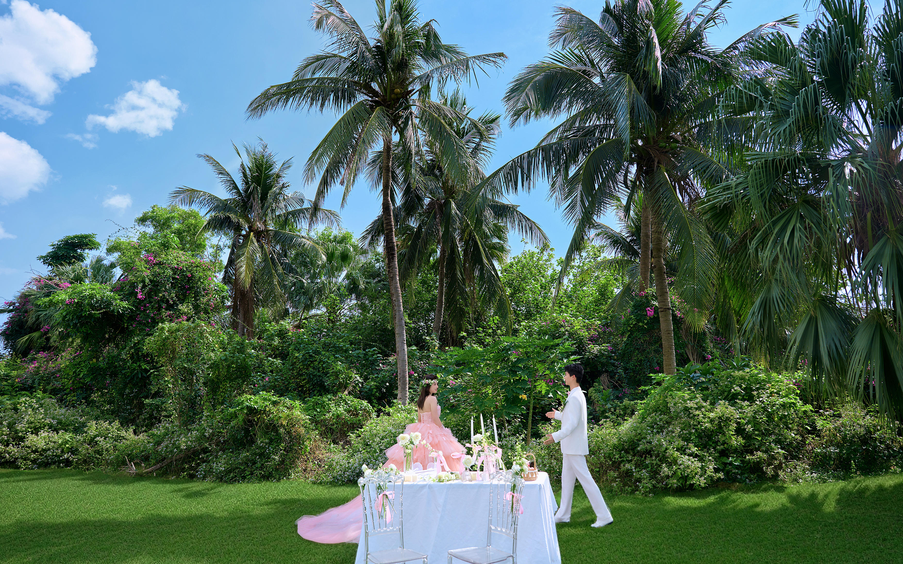 椰樹證婚??草坪婚紗照被海風(fēng)偷看啦