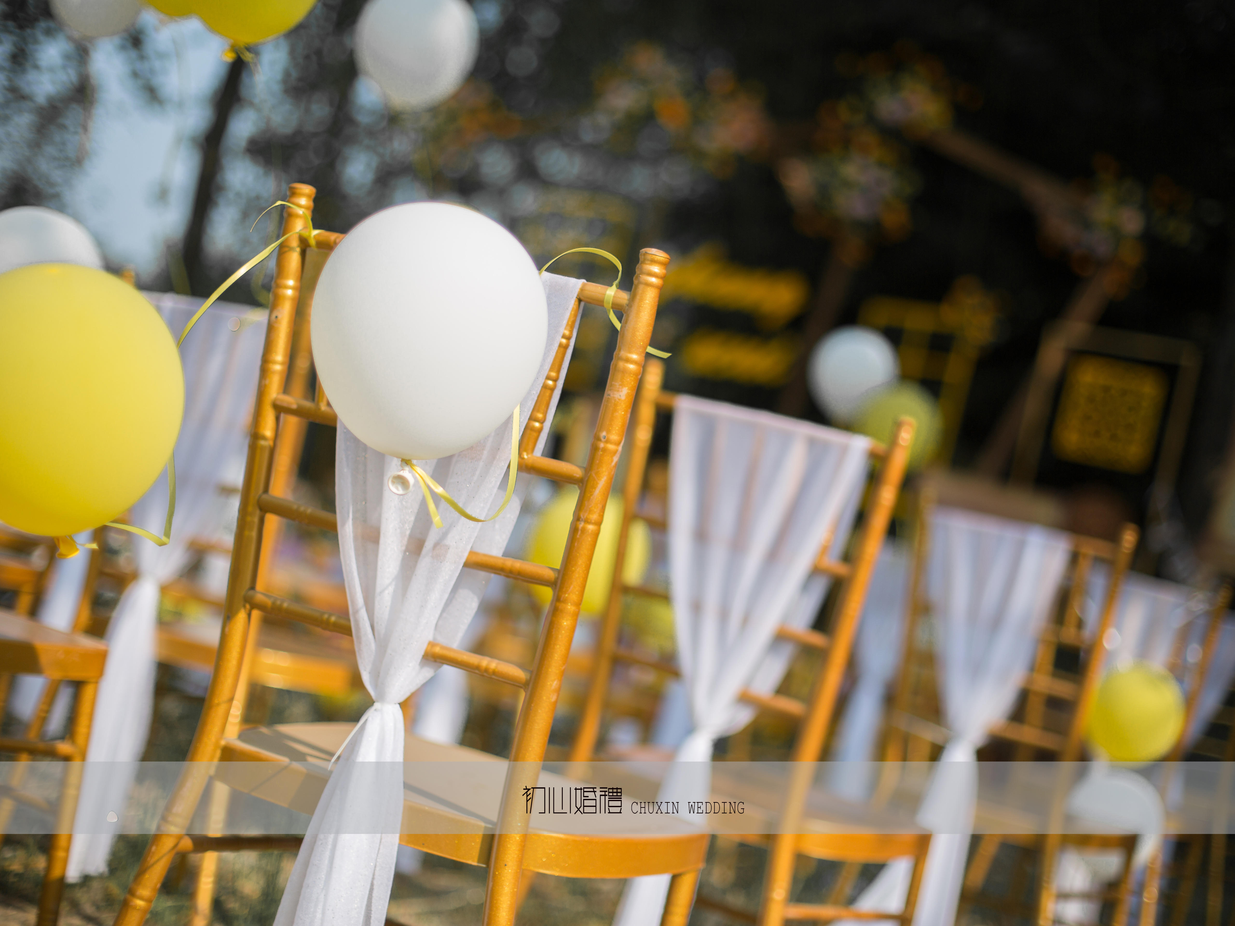 【初心婚礼】宿豫区户外 2019.5.10