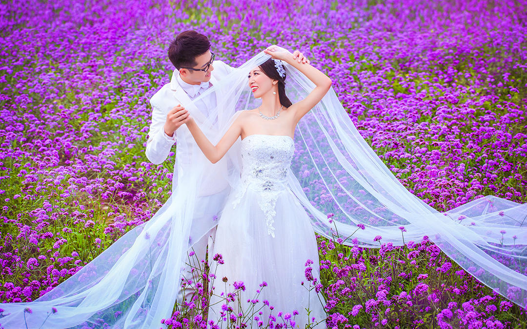 春暖花开 新田园主义  