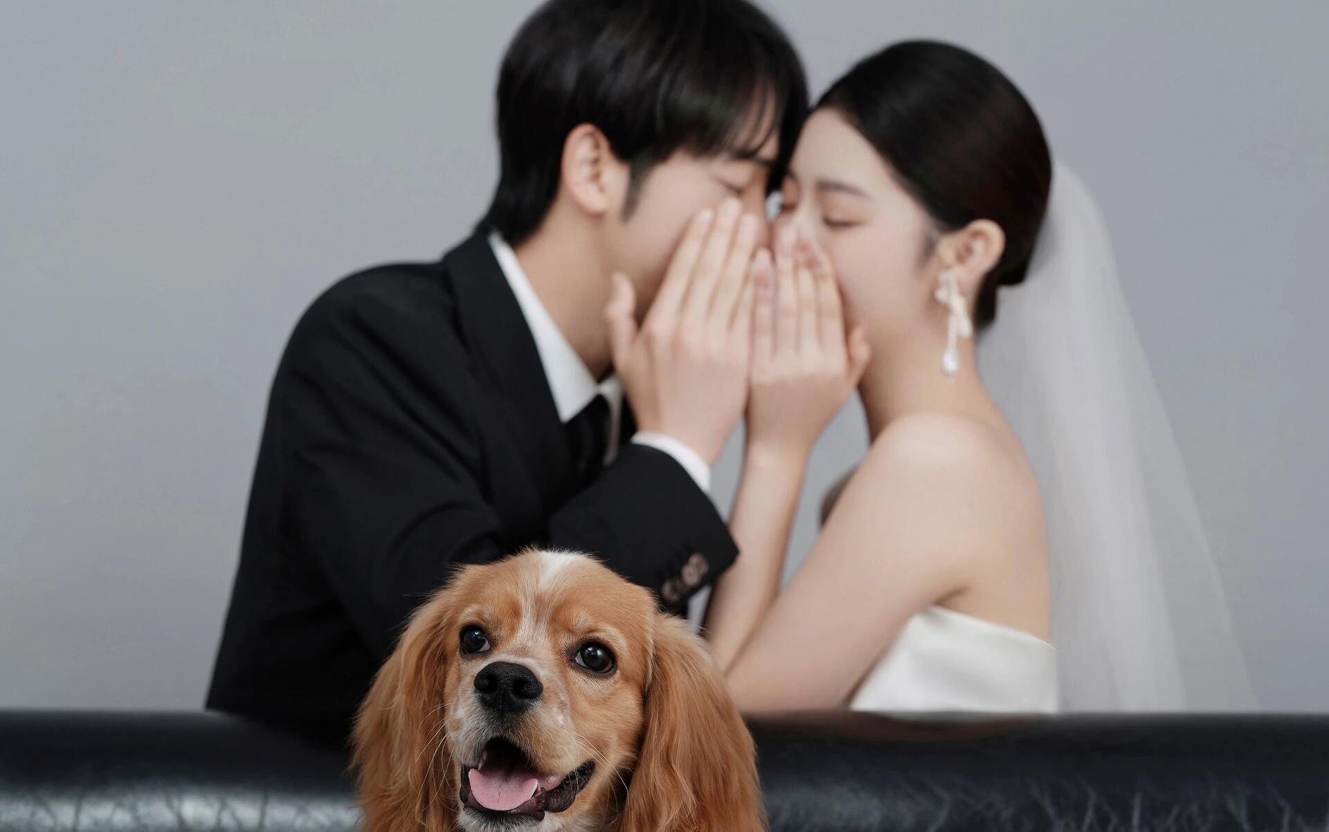 誰(shuí)懂帶著自己的修狗?? 拍婚紗照的幸福感啊