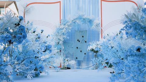 【腾达婚礼】户外-淡蓝色婚礼-包含三大金刚