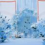 【腾达婚礼】户外-淡蓝色婚礼-包含三大金刚