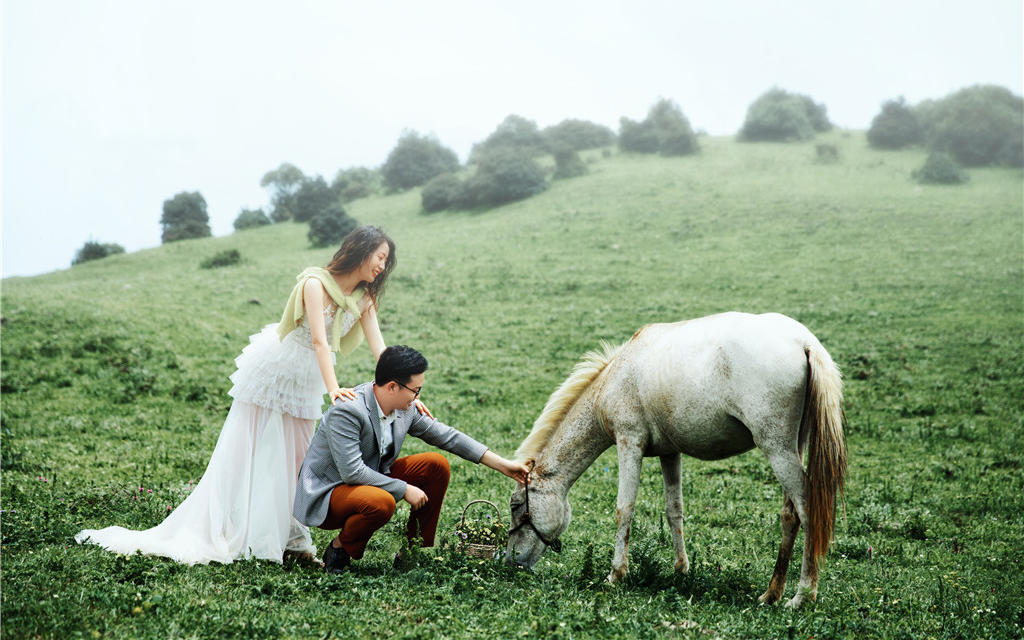 【爆款套系】一站式拍摄丨风格任选丨全场通拍