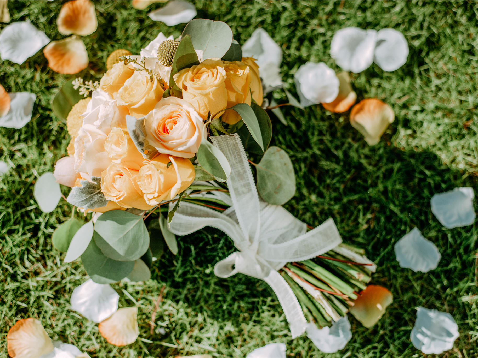 《初夏》户外浪漫小清新婚礼