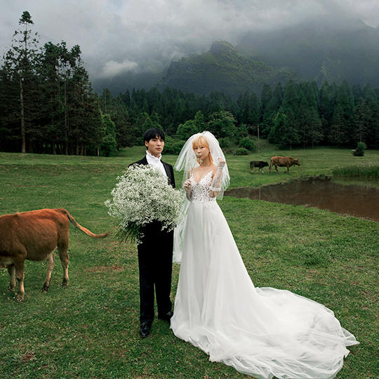 仙女山旅拍|6服6造|拍一送三|风格任选