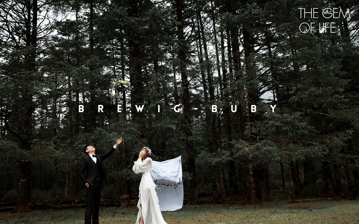 云杉坪/牦牛坪/立减2000/接机住宿/