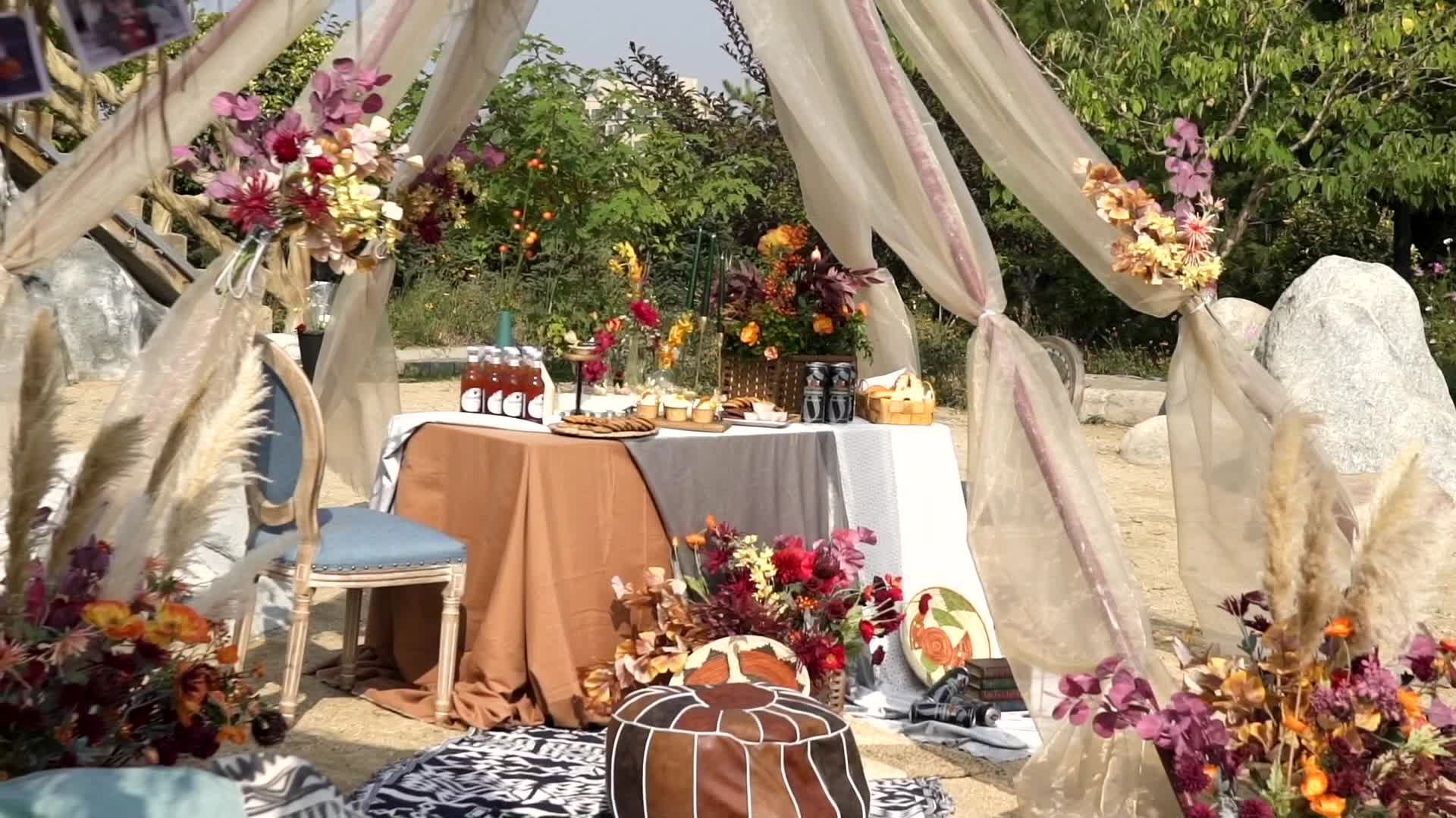 资深主持+专业流程策划+督导+音乐执行