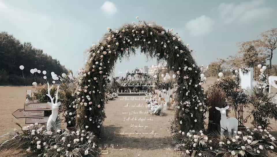 滁州帝王婚庆-户外草坪婚礼【日光正暖】