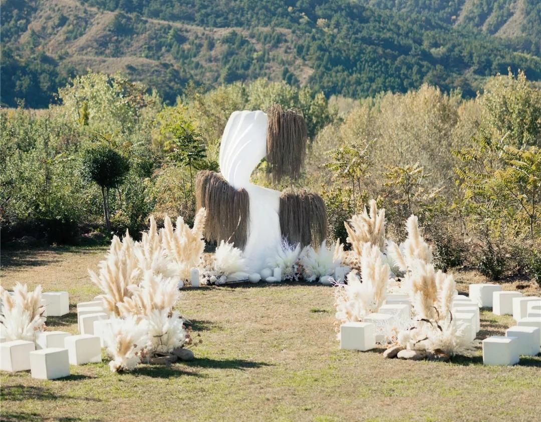 户外芦苇荡婚礼