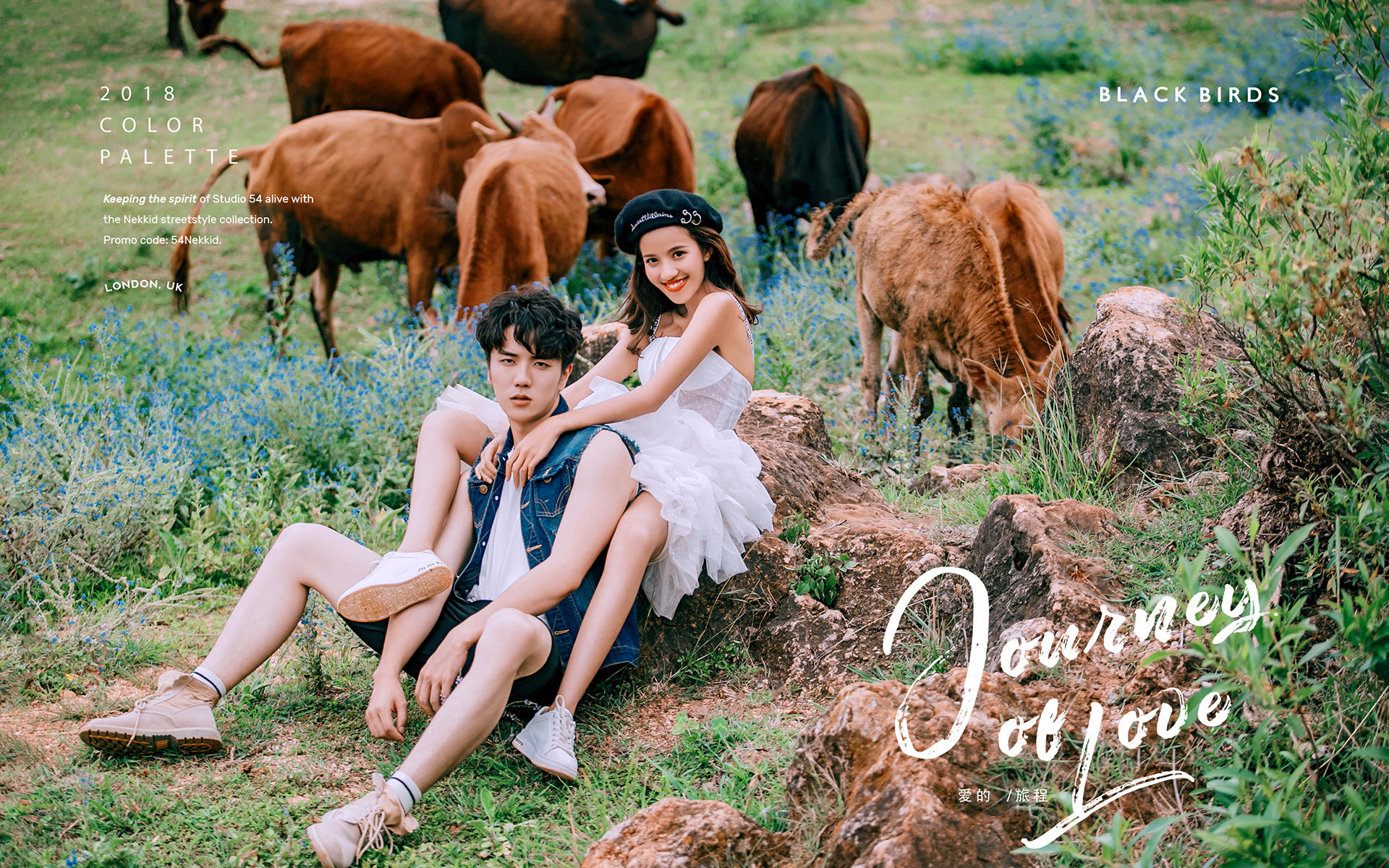 北京|恩將酬報 產(chǎn)品到家付款+接機服務(wù)+星級酒店