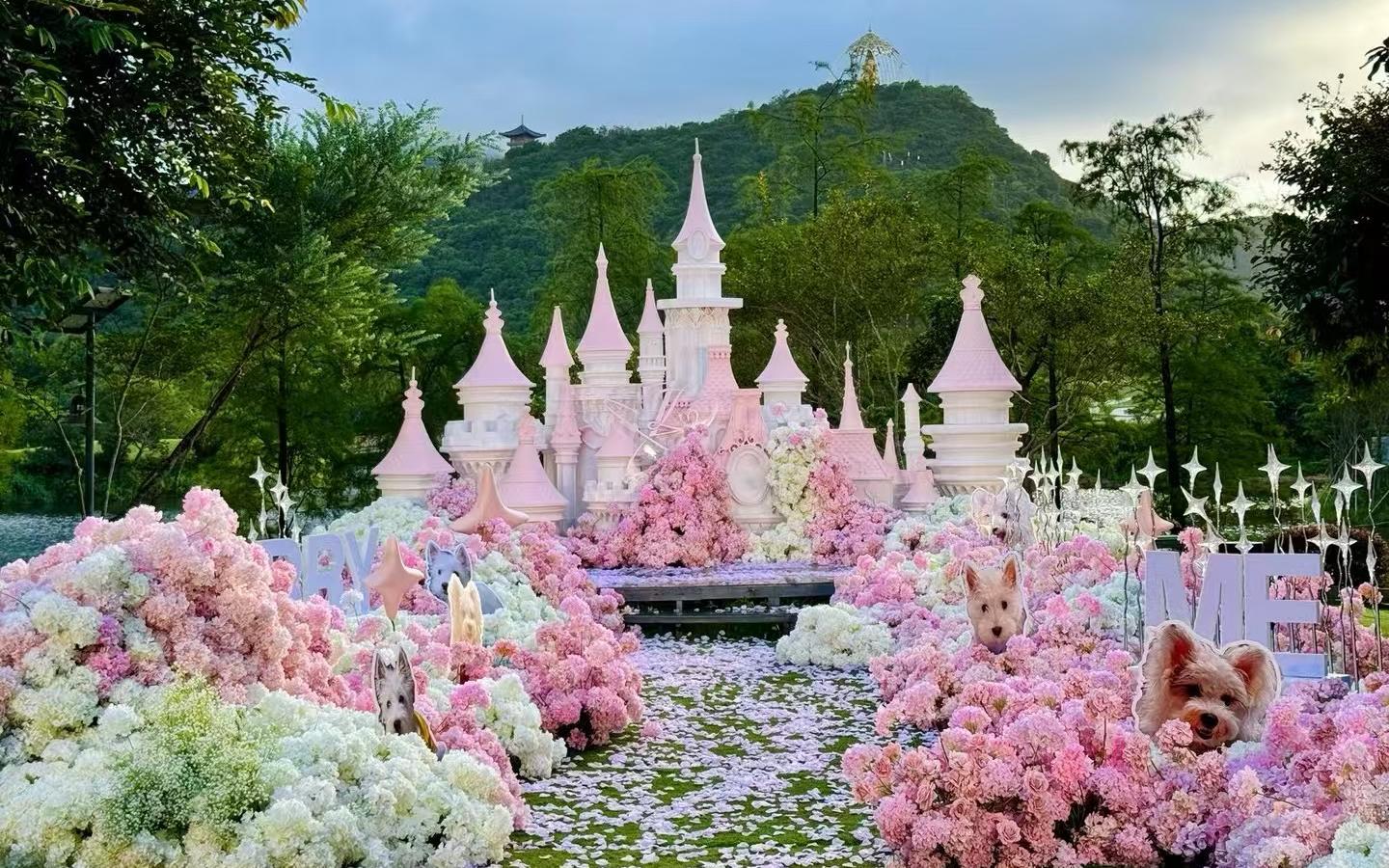 浅樱色城堡意象